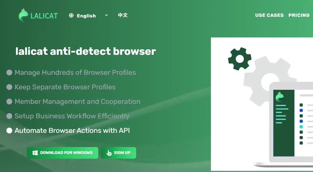 11.webp