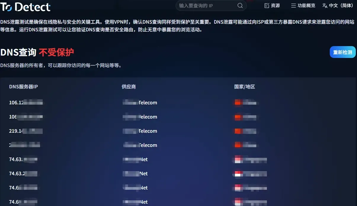 DNS中文.webp