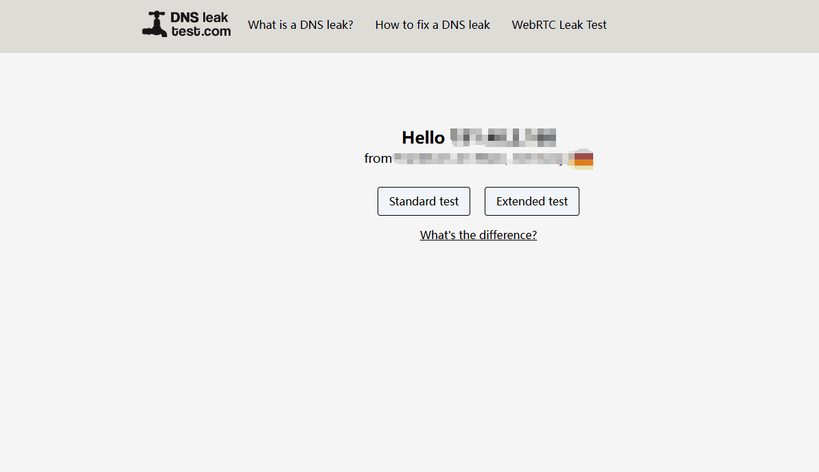DNSLeakTest Homepage.png