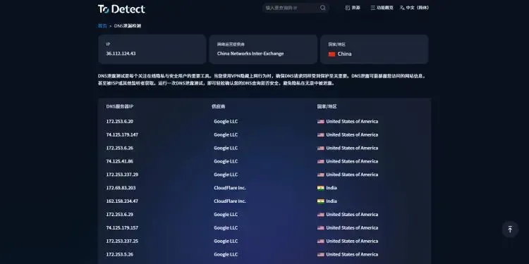 ToDetect DNS 泄露检测结果