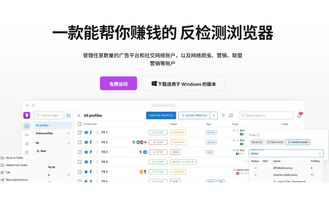 dolphin中文.webp