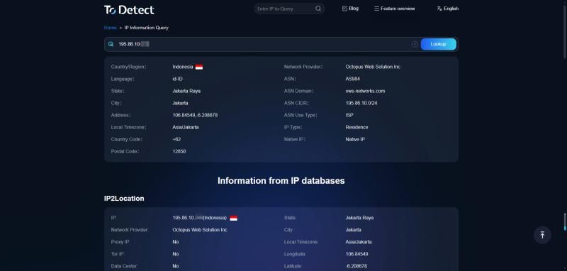 Инструмент проверки IP ToDetect