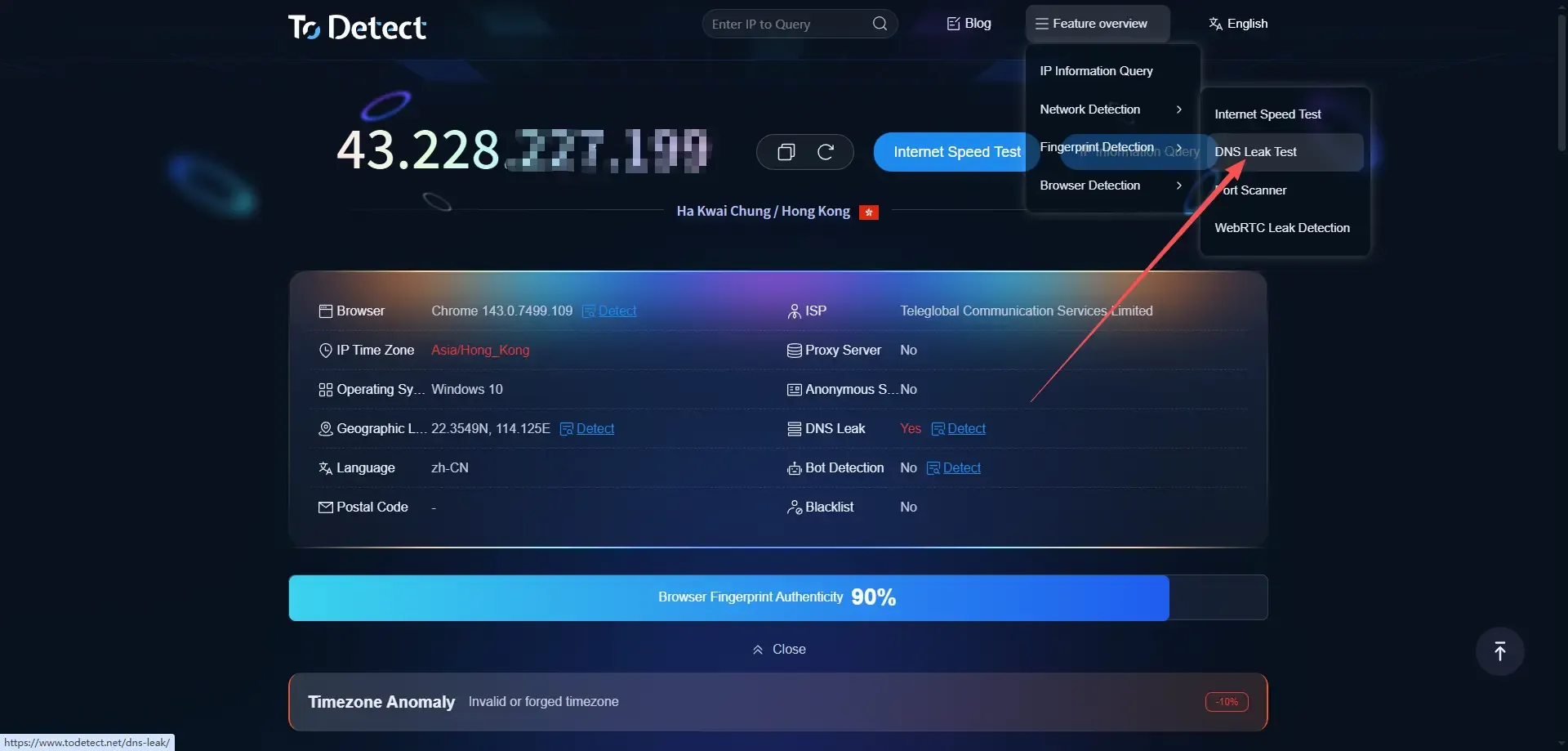 Переход на страницу проверки утечки DNS ToDetect