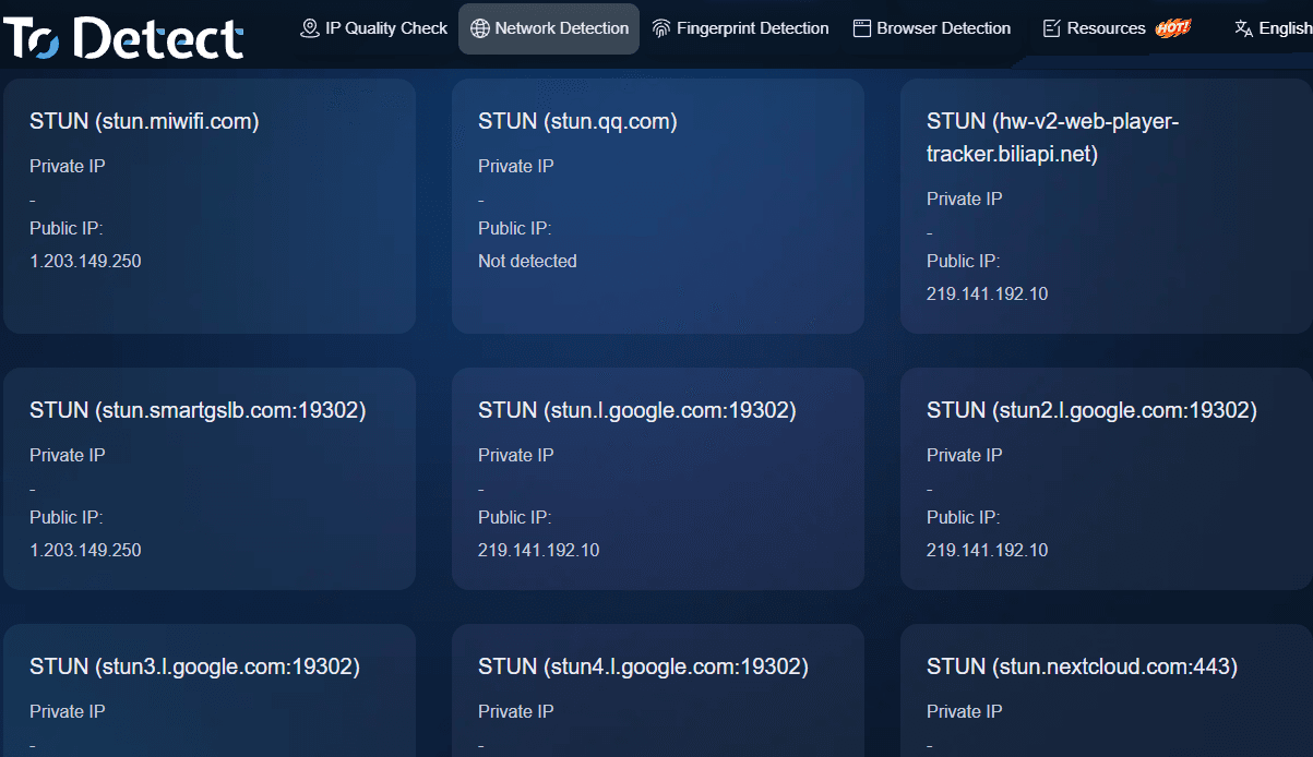WebRTC leak detection EN 111.png